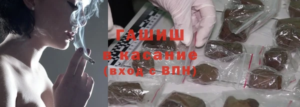 PSILOCYBIN Бородино