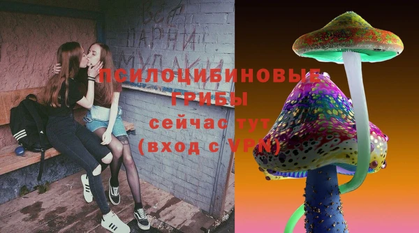 PSILOCYBIN Бородино