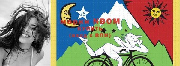 PSILOCYBIN Бородино