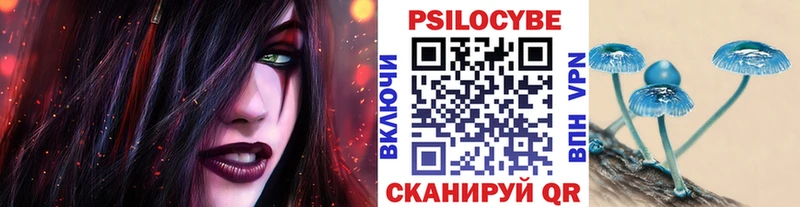 Псилоцибиновые грибы мицелий  Купить где  Великий Новгород 
